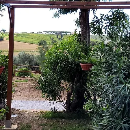 Poggio La Lodola Alloggio per agriturismo *